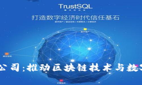  探析Tokenim母公司：推動(dòng)區(qū)塊鏈技術(shù)與數(shù)字資產(chǎn)的未來(lái)發(fā)展