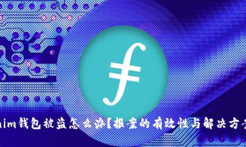 Tokenim錢包被盜怎么辦？報案的有效性與解決方案詳解