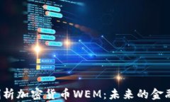 深入剖析加密貨幣WEM：未