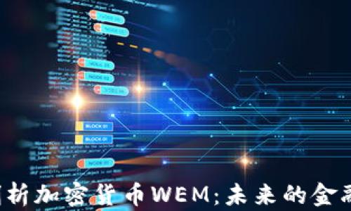 
深入剖析加密貨幣WEM：未來(lái)的金融革命？