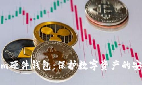 Tokenim硬件錢包：保護(hù)數(shù)字資產(chǎn)的安全之道