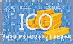 黑瞎子島：探索加密貨幣