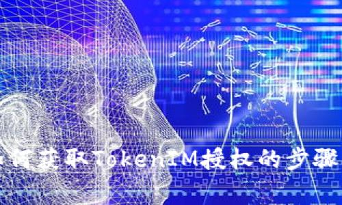 全面解析如何獲取TokenIM授權(quán)的步驟與注意事項(xiàng)