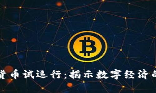 中國加密貨幣試運行：揭示數(shù)字經(jīng)濟的未來趨勢