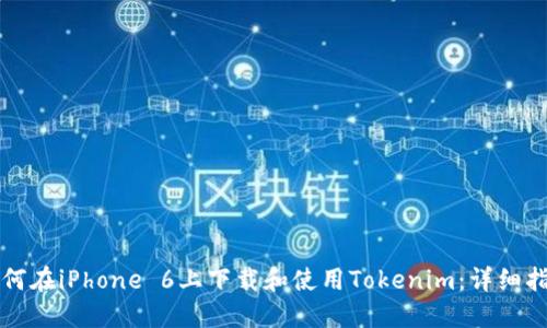 如何在iPhone 6上下載和使用Tokenim：詳細(xì)指南