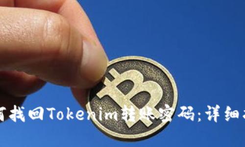 如何找回Tokenim轉(zhuǎn)賬密碼：詳細(xì)指南