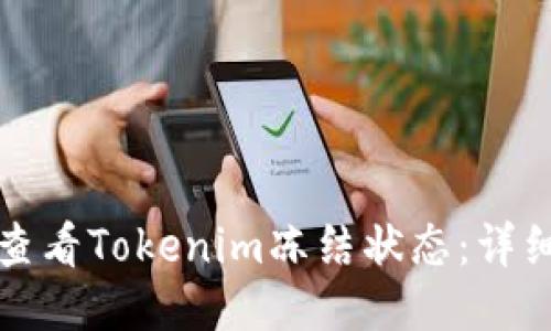 如何查看Tokenim凍結(jié)狀態(tài)：詳細指南