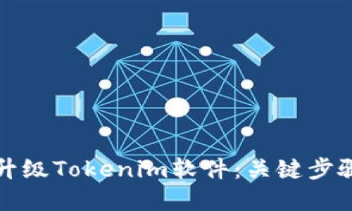 如何高效地升級(jí)Tokenim軟件：關(guān)鍵步驟與實(shí)用技巧