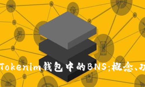 詳細解析Tokenim錢包中的BNS：概念、功能與應用