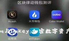 深入分析tokenim與imKey：加