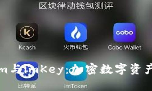 深入分析tokenim與imKey：加密數(shù)字資產(chǎn)管理的未來(lái)之路