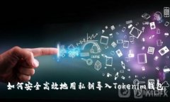 如何安全高效地用私鑰導(dǎo)入Tokenim錢包