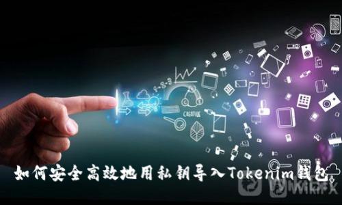如何安全高效地用私鑰導(dǎo)入Tokenim錢包