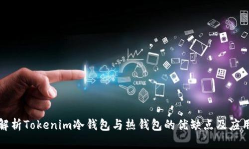 深入解析Tokenim冷錢包與熱錢包的優(yōu)缺點(diǎn)及應(yīng)用場景