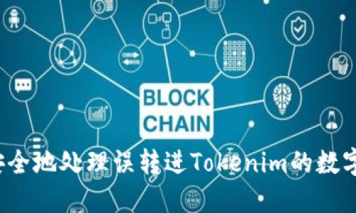 如何安全地處理誤轉(zhuǎn)進(jìn)Tokenim的數(shù)字資產(chǎn)？