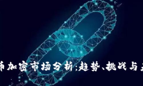 全球貨幣加密市場(chǎng)分析：趨勢(shì)、挑戰(zhàn)與未來(lái)展望