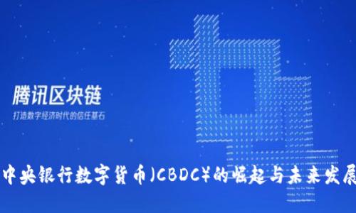 中央銀行數(shù)字貨幣（CBDC）的崛起與未來發(fā)展