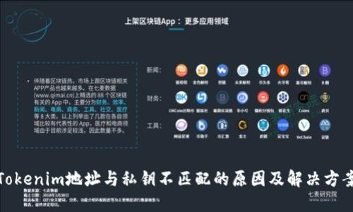 Tokenim地址與私鑰不匹配的原因及解決方案