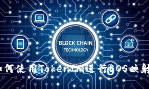 全面解析：如何使用TokenIm進(jìn)行EOS映射的詳細(xì)教程