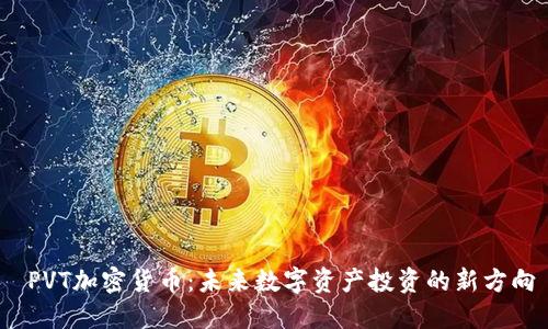  PVT加密貨幣：未來數字資產投資的新方向