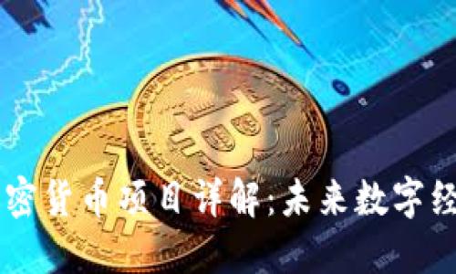 Facebook加密貨幣項目詳解：未來數(shù)字經濟的引領者