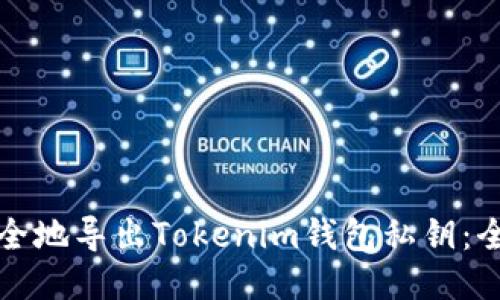 如何安全地導(dǎo)出Tokenim錢包私鑰：全面指南
