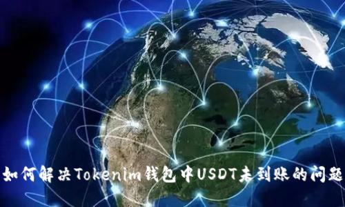 如何解決Tokenim錢包中USDT未到賬的問(wèn)題