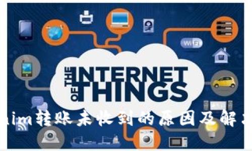 Tokenim轉(zhuǎn)賬未收到的原因及解決方法