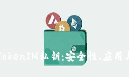 深入了解TokenIM私鑰：安全性、應用與管理技巧