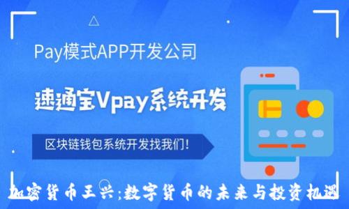  
加密貨幣王興：數(shù)字貨幣的未來與投資機遇