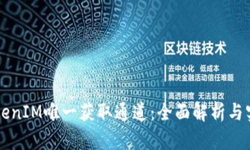 官方TokenIM唯一獲取通道：全面解析與實用指南