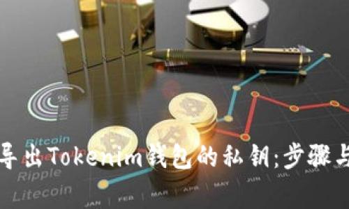 如何安全導(dǎo)出Tokenim錢包的私鑰：步驟與注意事項(xiàng)