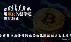 加密貨幣在沙特阿拉伯的