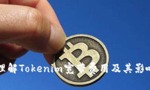 如何理解Tokenim寬帶費(fèi)用及其影響因素