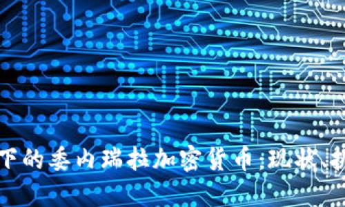 全球視野下的委內(nèi)瑞拉加密貨幣：現(xiàn)狀、挑戰(zhàn)與未來