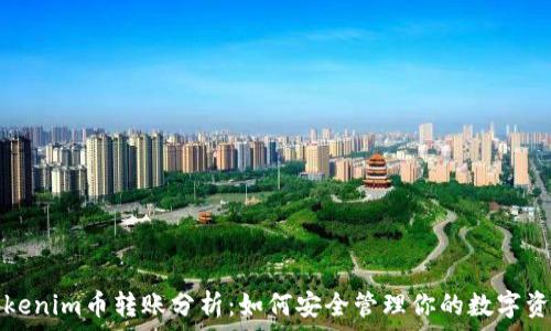   
Tokenim幣轉(zhuǎn)賬分析：如何安全管理你的數(shù)字資產(chǎn)