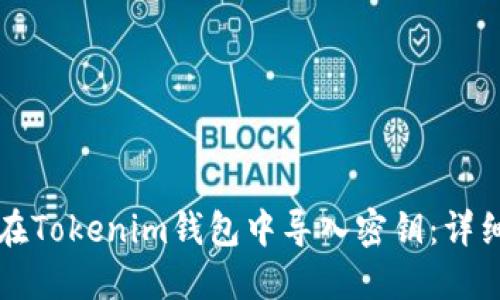 如何在Tokenim錢包中導(dǎo)入密鑰：詳細指南