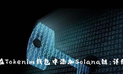 如何在Tokenim錢包中添加Solana鏈：詳細(xì)指南