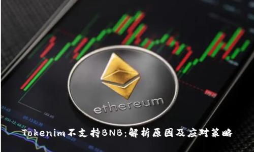 Tokenim不支持BNB：解析原因及應(yīng)對策略