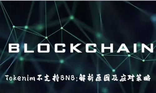 Tokenim不支持BNB：解析原因及應(yīng)對策略