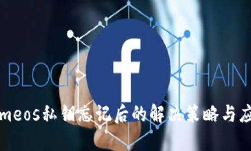 Tokenimeos私鑰忘記后的解決策略與應(yīng)對指南