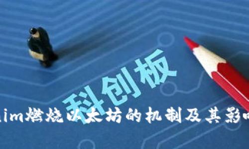 Tokenim燃燒以太坊的機制及其影響分析