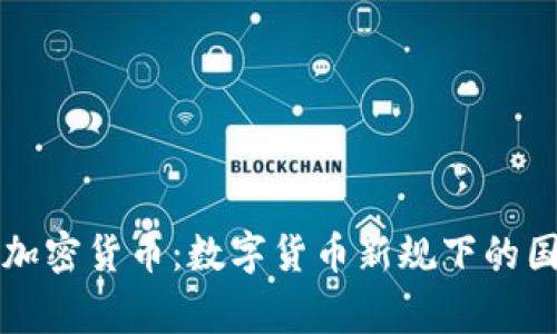 土耳其政府加密貨幣：數(shù)字貨幣新規(guī)下的國(guó)家戰(zhàn)略分析