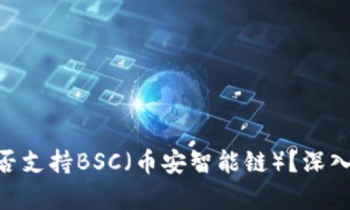 Tokenim是否支持BSC（幣安智能鏈）？深入分析與指南