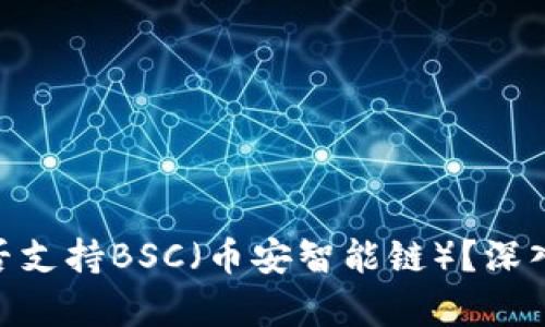 Tokenim是否支持BSC（幣安智能鏈）？深入分析與指南