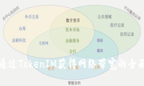 如何通過TokenIM獲得網(wǎng)絡(luò)帶寬的全面指南