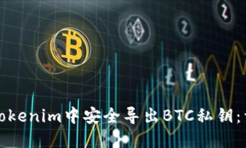 如何在Tokenim中安全導(dǎo)出BTC私鑰：詳盡指南