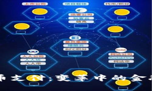 美國(guó)接受加密貨幣支付：變革中的金融服務(wù)與未來(lái)發(fā)展