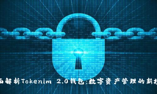 全面解析Tokenim 2.0錢包：數(shù)字資產(chǎn)管理的新境界
