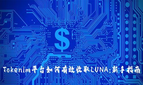 Tokenim平臺(tái)如何有效收取LUNA：新手指南
